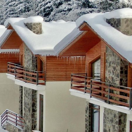 Villa Mtashi Bakuriani Εξωτερικό φωτογραφία