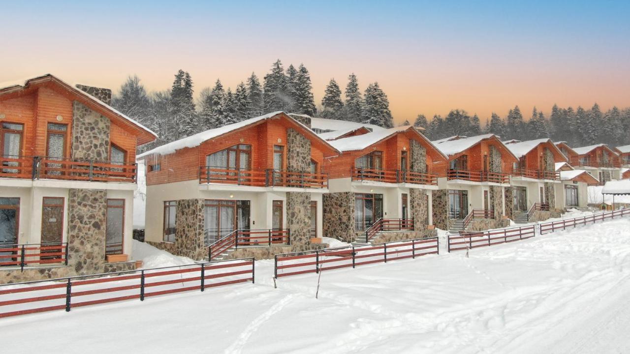 Villa Mtashi Bakuriani Εξωτερικό φωτογραφία