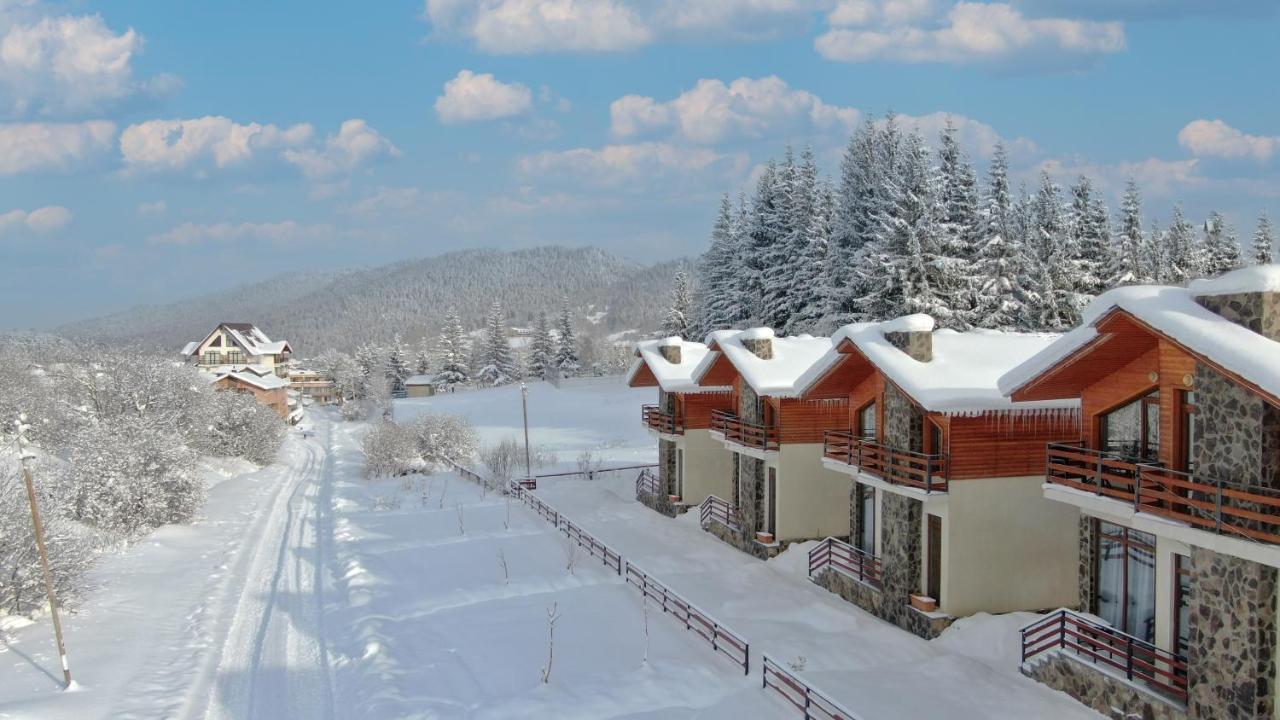 Villa Mtashi Bakuriani Εξωτερικό φωτογραφία
