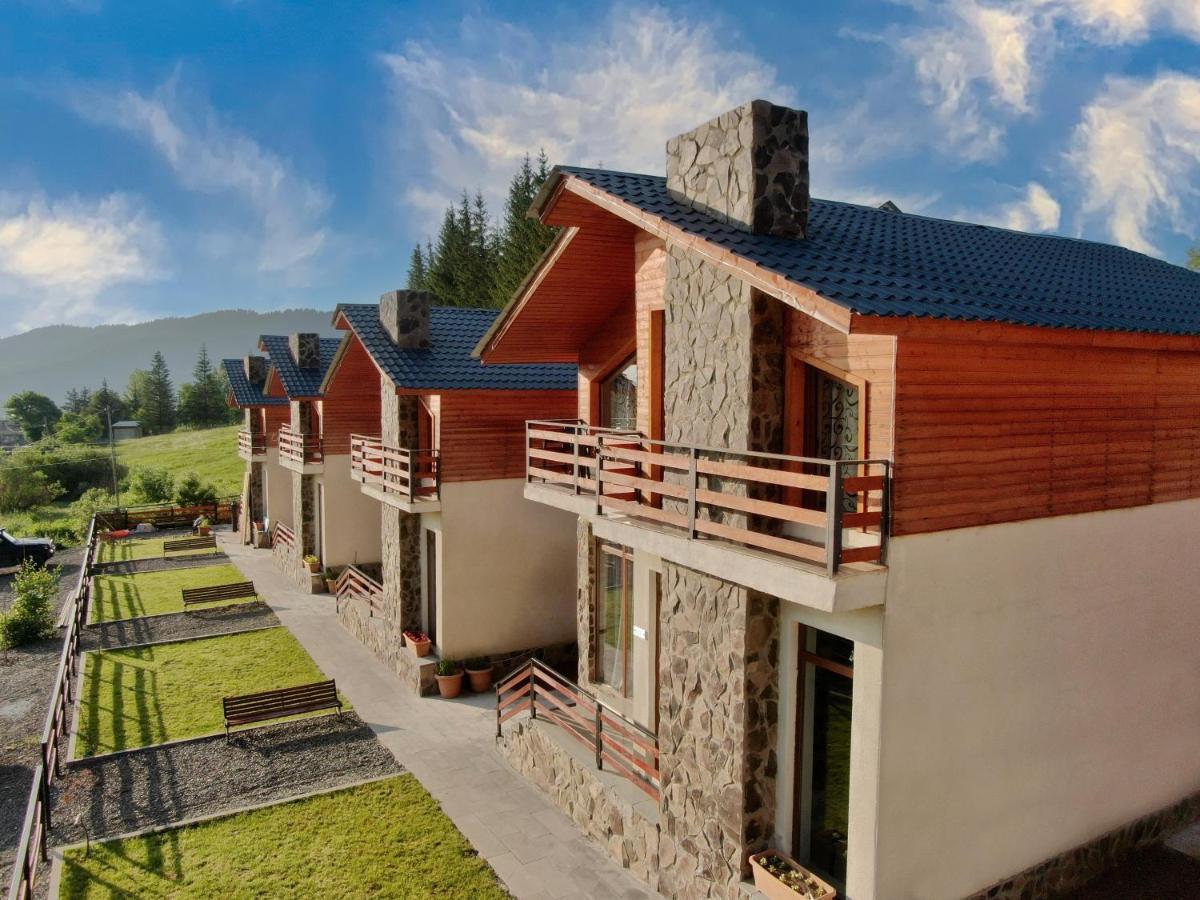 Villa Mtashi Bakuriani Εξωτερικό φωτογραφία