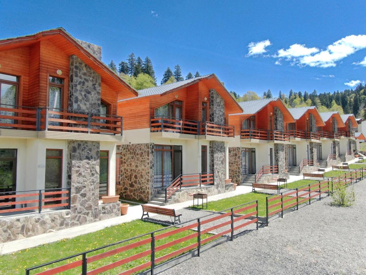 Villa Mtashi Bakuriani Εξωτερικό φωτογραφία