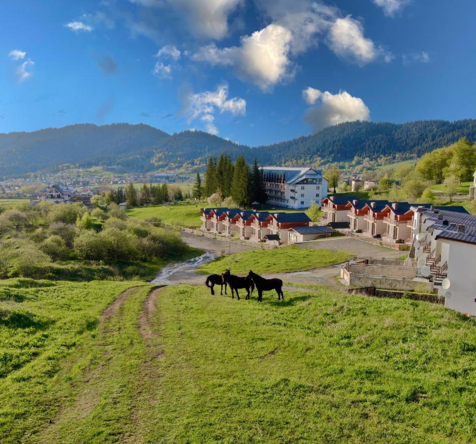 Villa Mtashi Bakuriani Εξωτερικό φωτογραφία