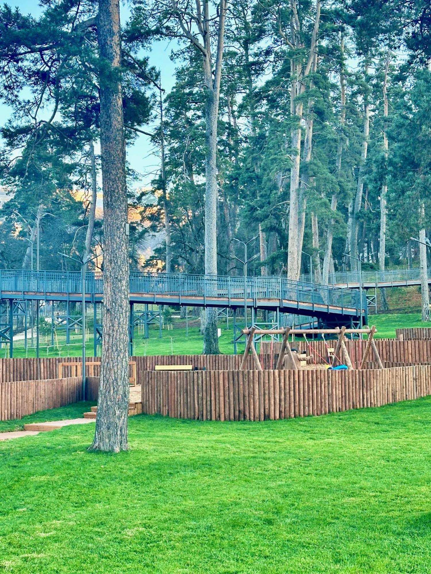 Villa Mtashi Bakuriani Εξωτερικό φωτογραφία