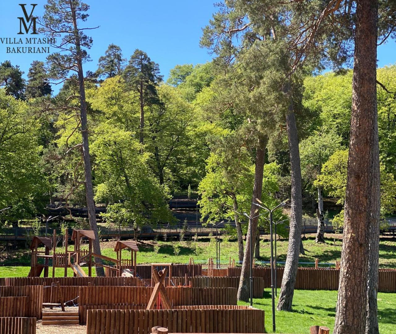 Villa Mtashi Bakuriani Εξωτερικό φωτογραφία
