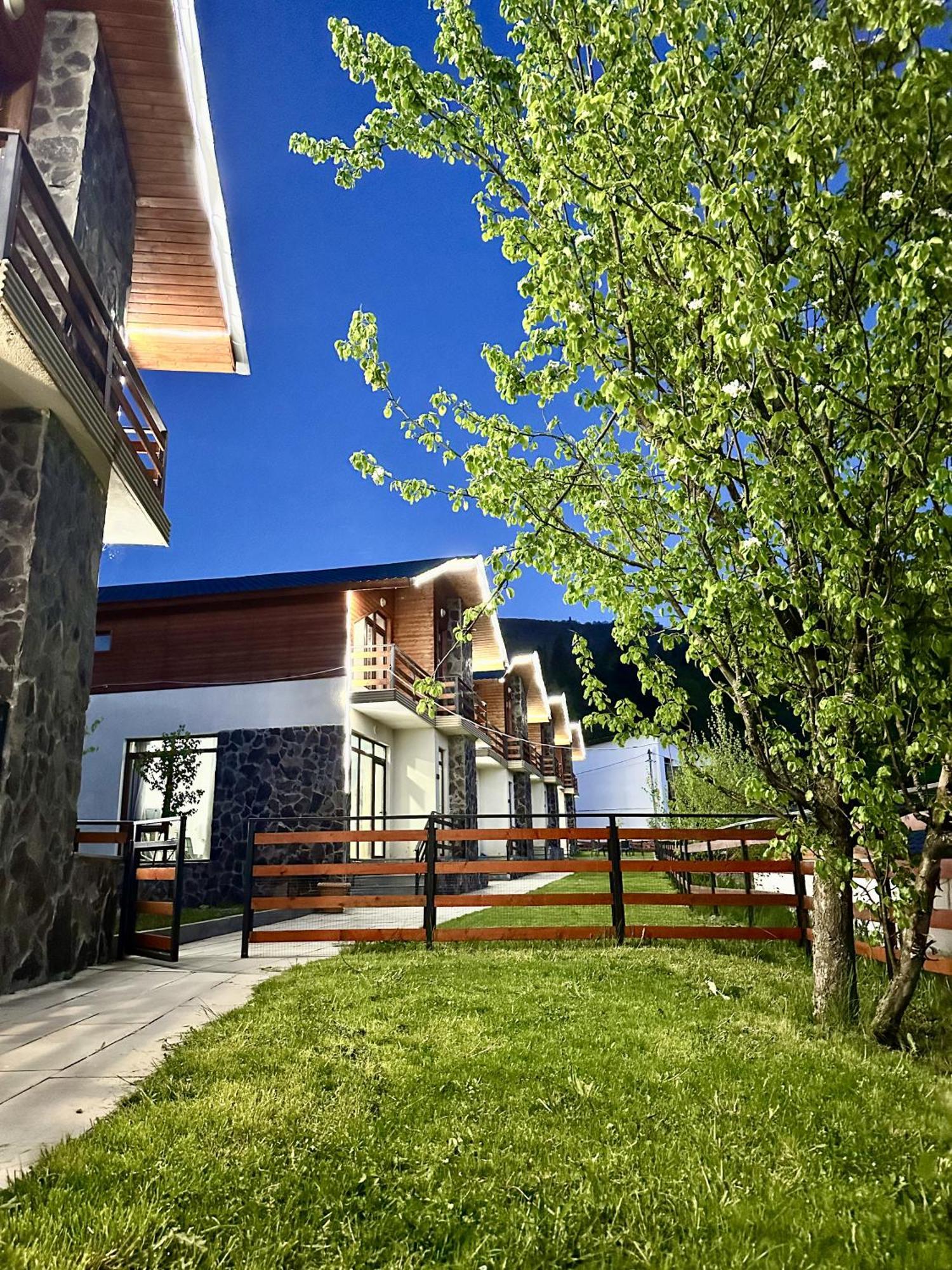 Villa Mtashi Bakuriani Εξωτερικό φωτογραφία