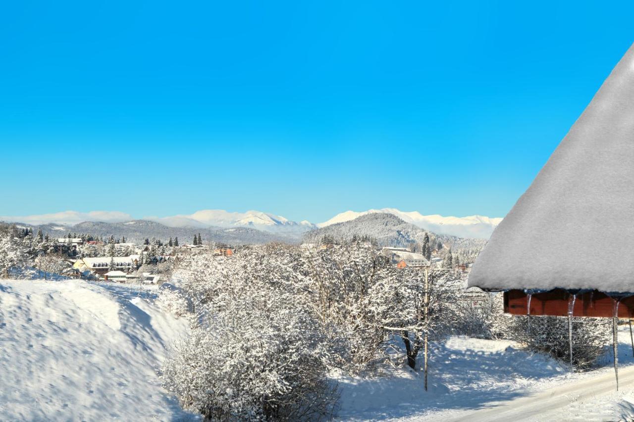 Villa Mtashi Bakuriani Εξωτερικό φωτογραφία